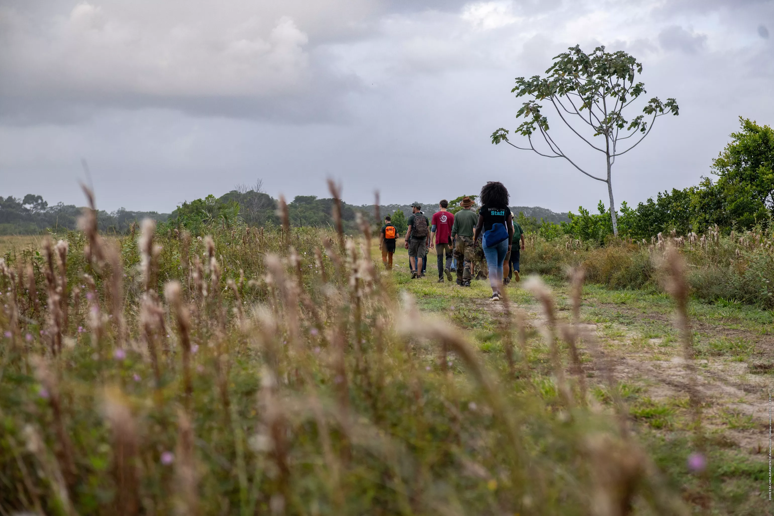 visites savanes CSG 