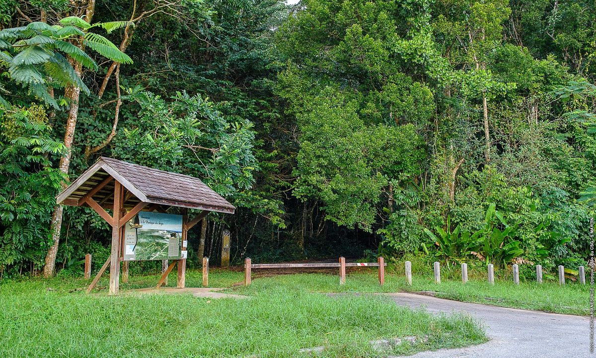 L'entrée du sentier à la Montagne des Singes.