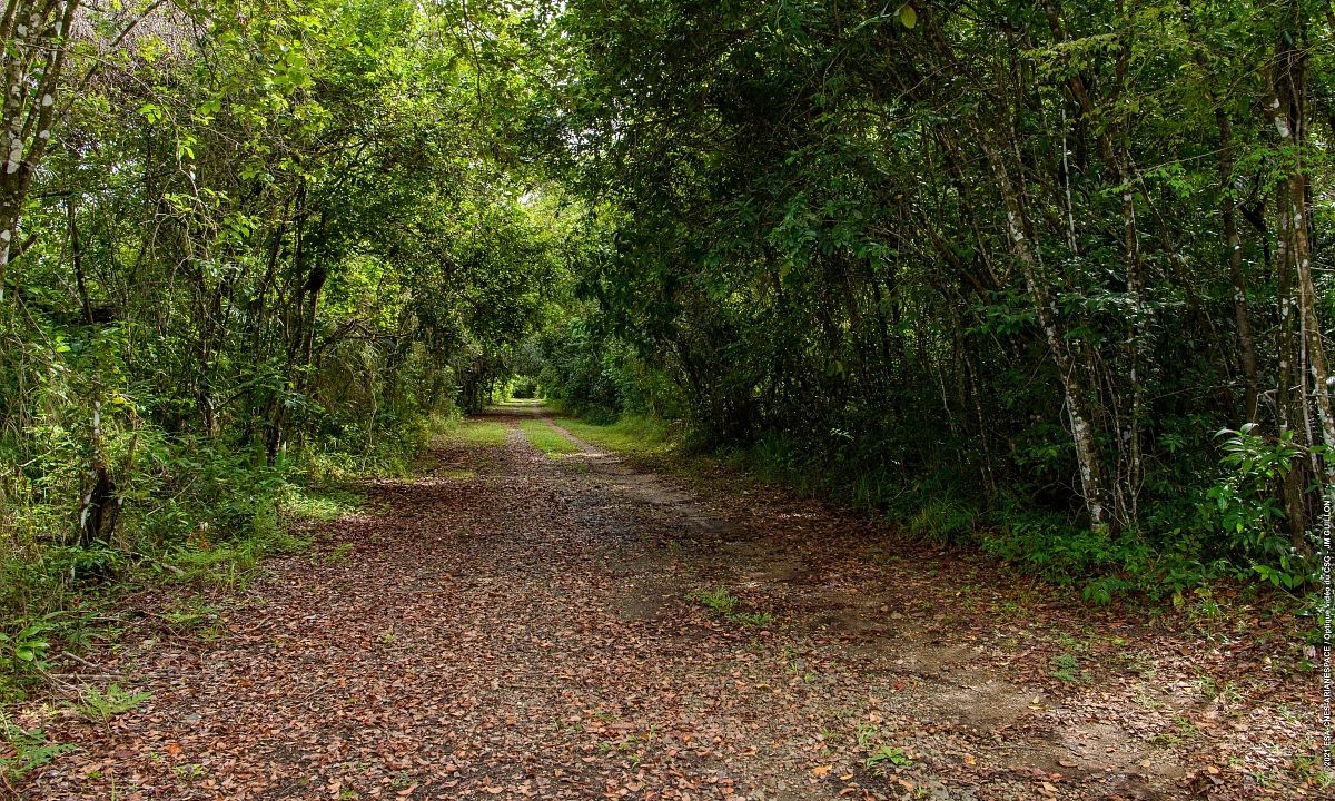 Sentier au zone de loisirs du CSG.