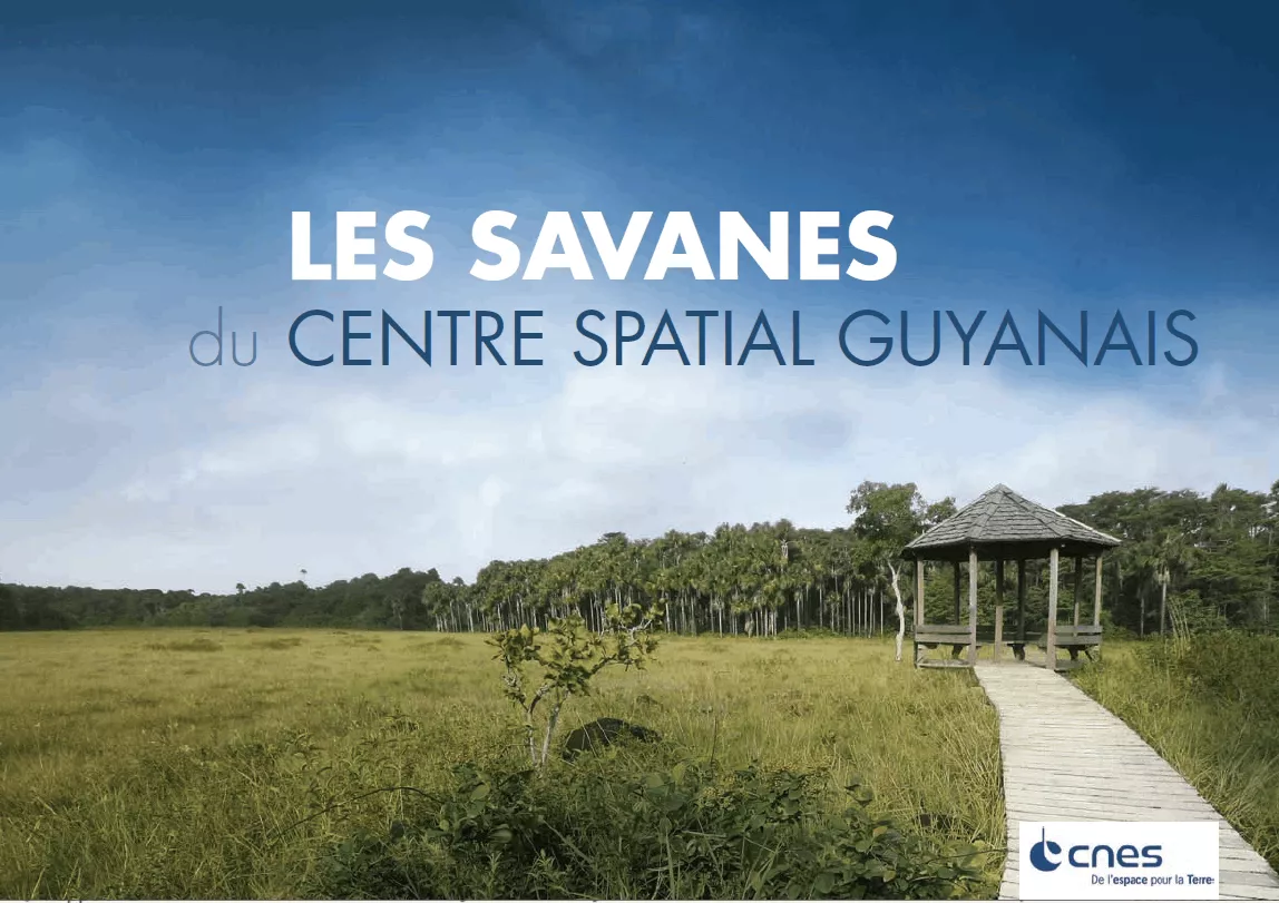 Couverture du livret savanes