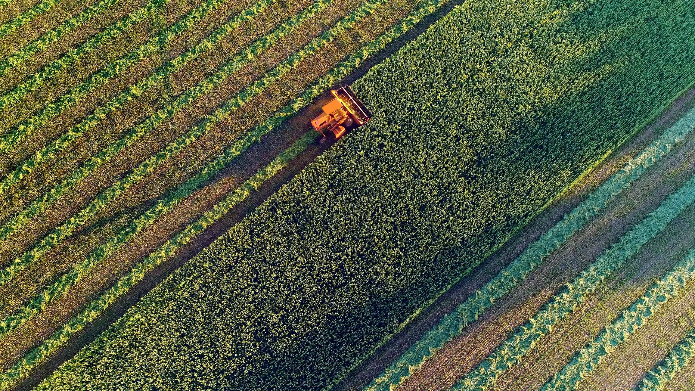 Récolte agricole à la dernière lumière du jour, vue aérienne.