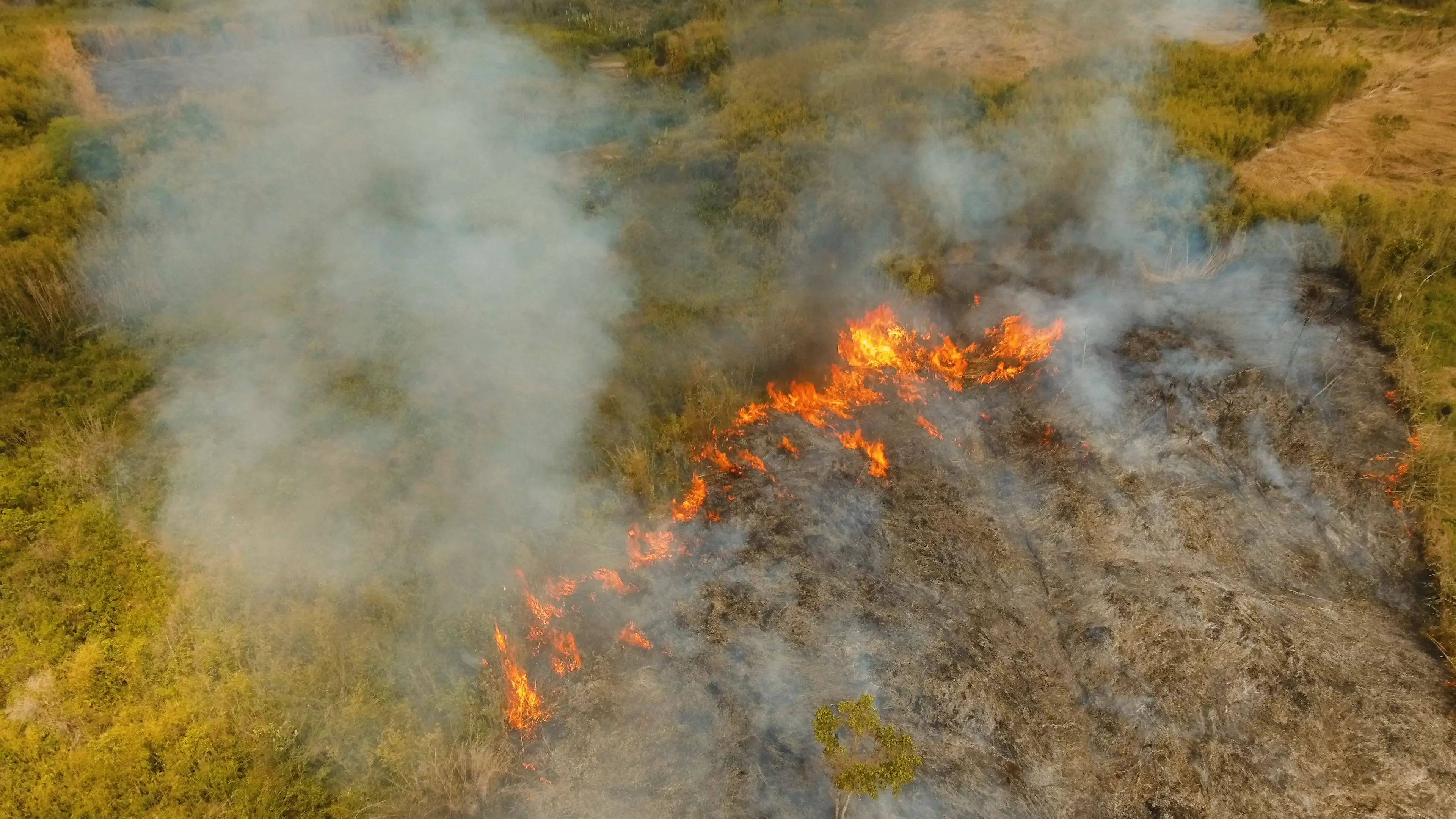 Vue aérienne d'un feu de savanes.