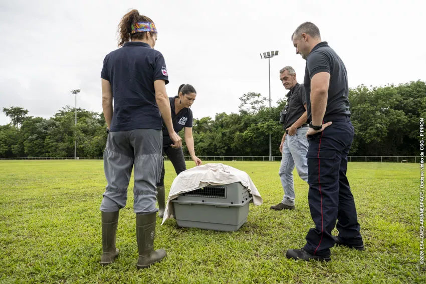 Relache Aigle orne au CSG