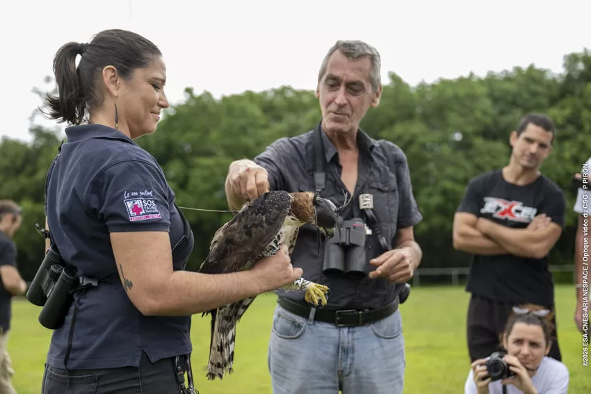 Relache Aigle orne au CSG