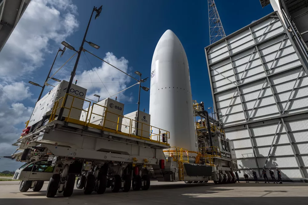 coiffe Amazon Leo VA267