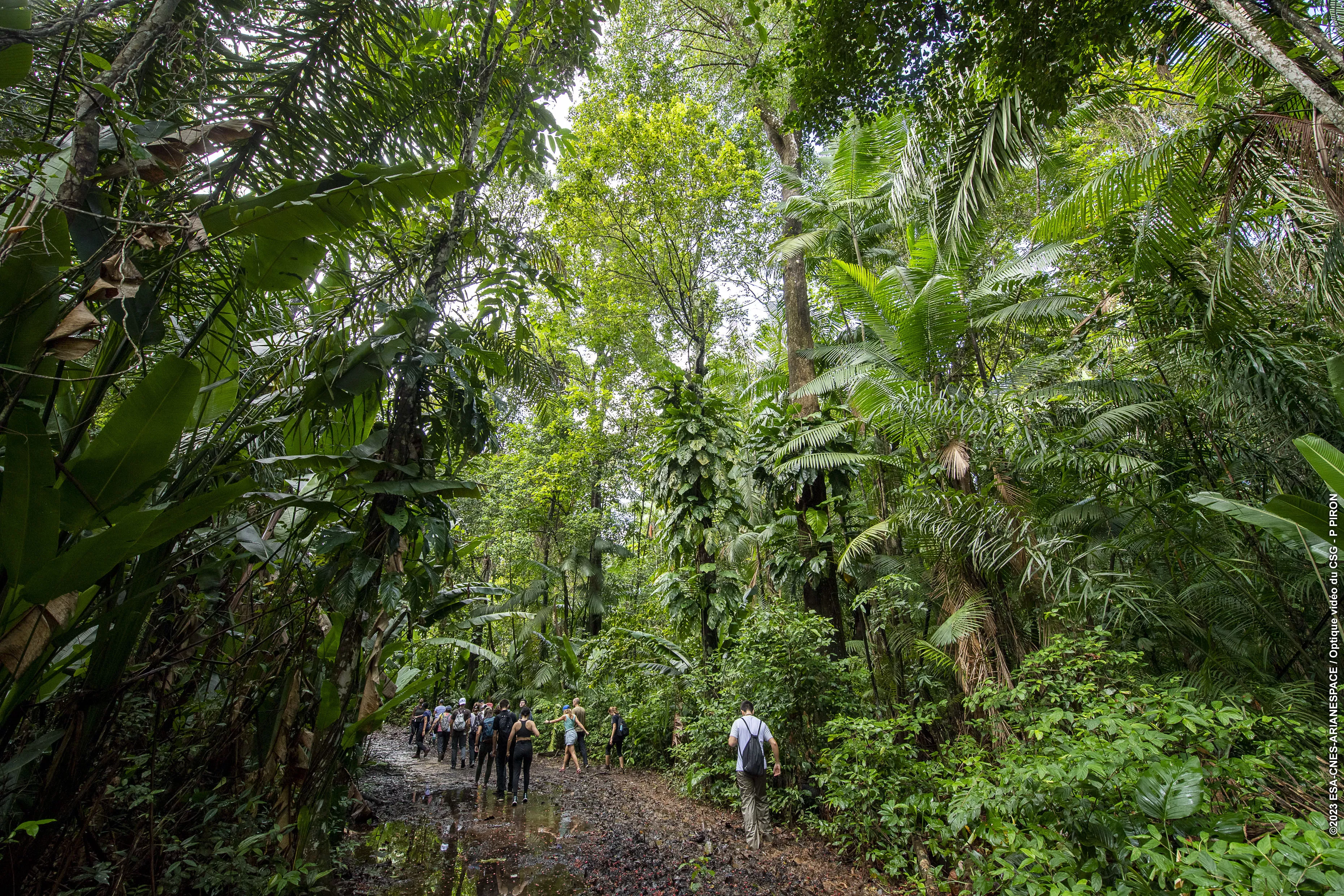 Groupe de visiteurs sur le sentier forestier de la zone de loisirs du CSG.